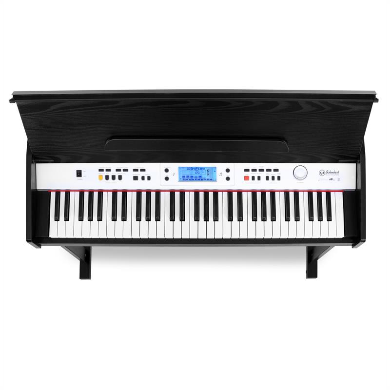 SCHUBERT Carnegy-61, elektronický klavír, 61 klávesov, MIDI – Obrázok 3
