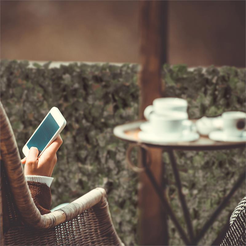 Blumfeldt Fency Dark Ivy, zástena, ochrana pred pozorovaním, ochrana pred vetrom, 300 x 100 cm, brečtan, tmavozelená – Obrázok 3