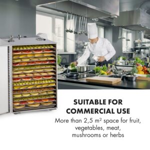 Klarstein Master Jerky 16, sušička potravín, 1500 W, 40 - 90 °C, 15-hod. časovač, nehrdzavejúca oceľ, strieborný