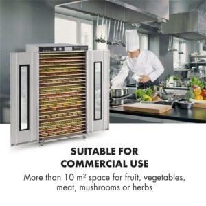 Klarstein Master Jerky 24, sušička potravín, 4500 W, 40-90 °C, 15-hod. časovač, nehrdzavejúca oceľ, strieborná