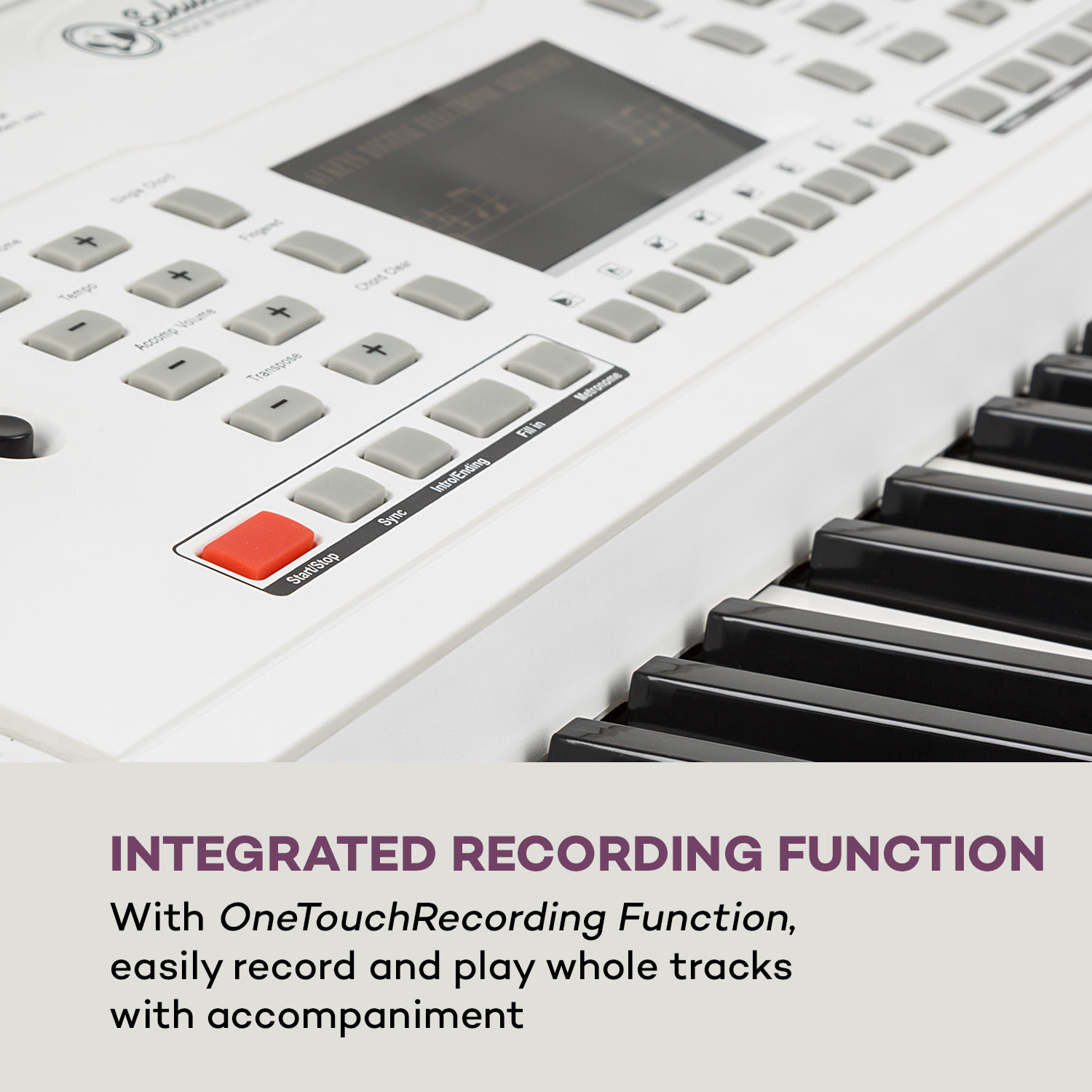 SCHUBERT Etude 61 MK II, keyboard, 61 kláves, 300 zvukov/rytmov, biely – Obrázok 5