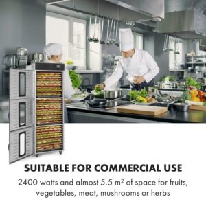 Klarstein Master Jerky 550, sušička potravín, 2400 W, 40 – 90 °C, 24 hod. časovač, nehrdzavejúca oceľ, strieborný