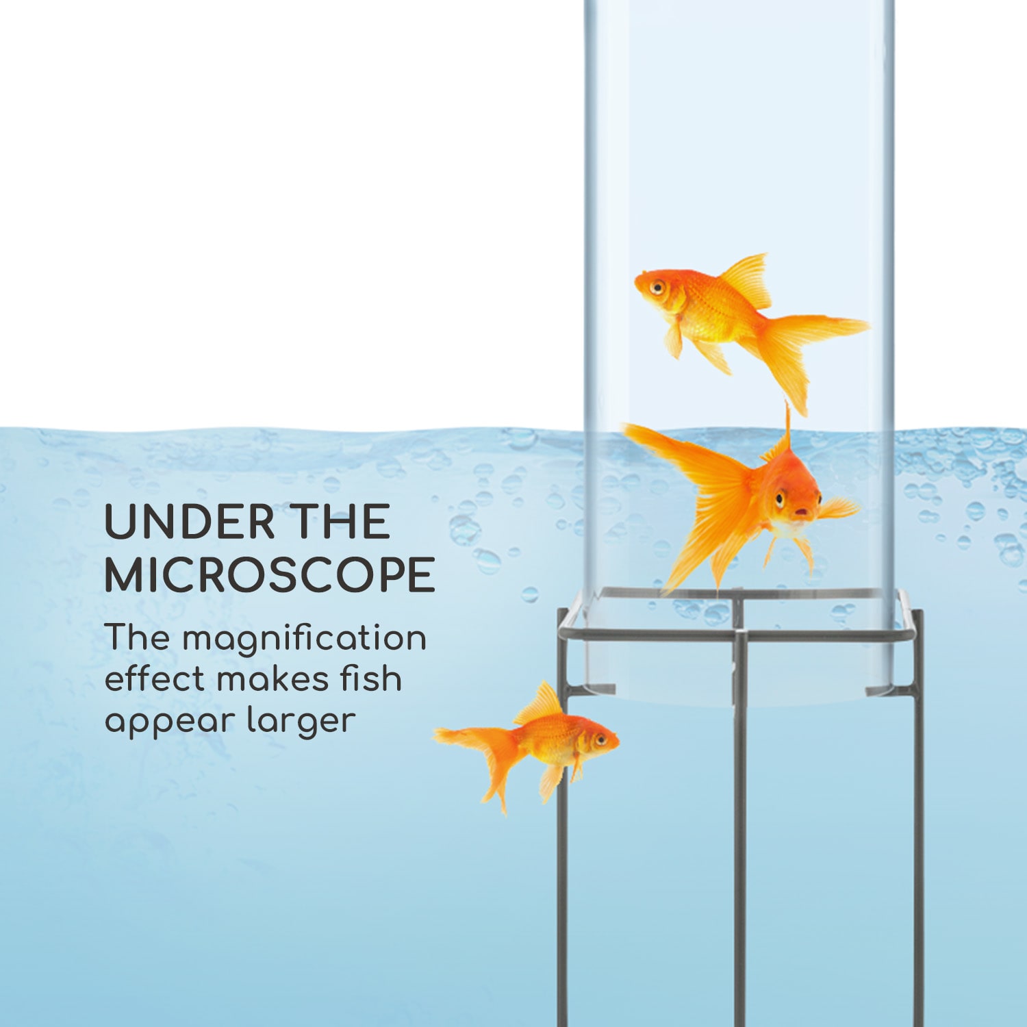 Blumfeldt Skydive 100, pozorovateľňa rýb, 100 cm, Ø 20 cm, akryl, kov, transparentná – Obrázok 2