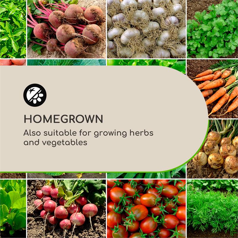 Blumfeldt Solid Grow Rust, kvetináč, 40 x 41 x 40 cm, fibreclay, hrdzavá farba – Obrázok 2