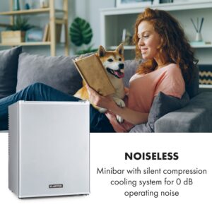 Klarstein Happy Hour 33, minibar, 33 l, 5-15°C, energet. trieda G, tichý, 25 dB, LED svetlo, strieborný