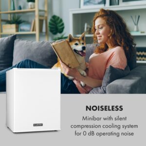 Klarstein Happy Hour 40, mini chladnička, 40 l, 5-15°C, tichá, 23dB, LED-svetlo, biela