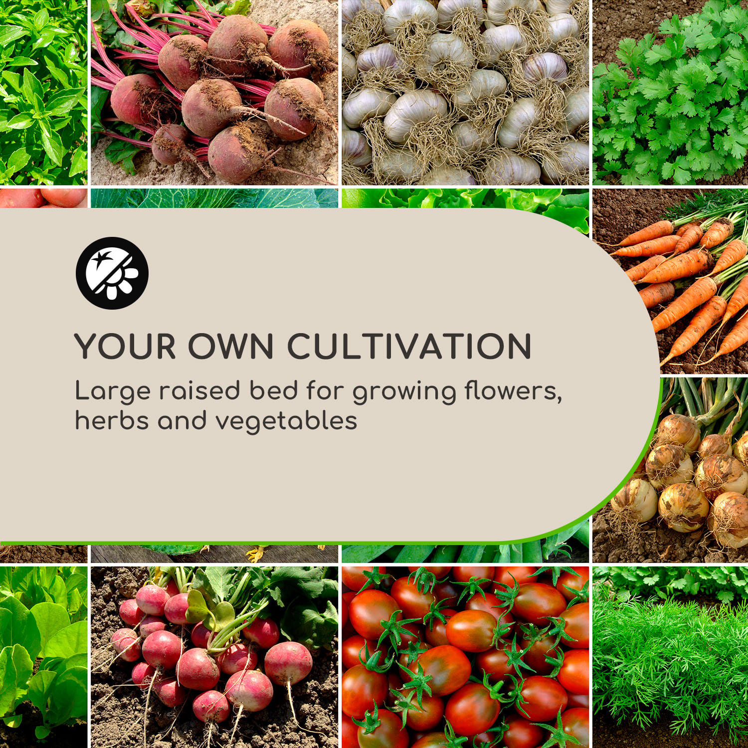 Blumfeldt Blum High Grow Straight, vyvýšený záhon, 100x60x100cm, 600l, oceľ – Obrázok 3