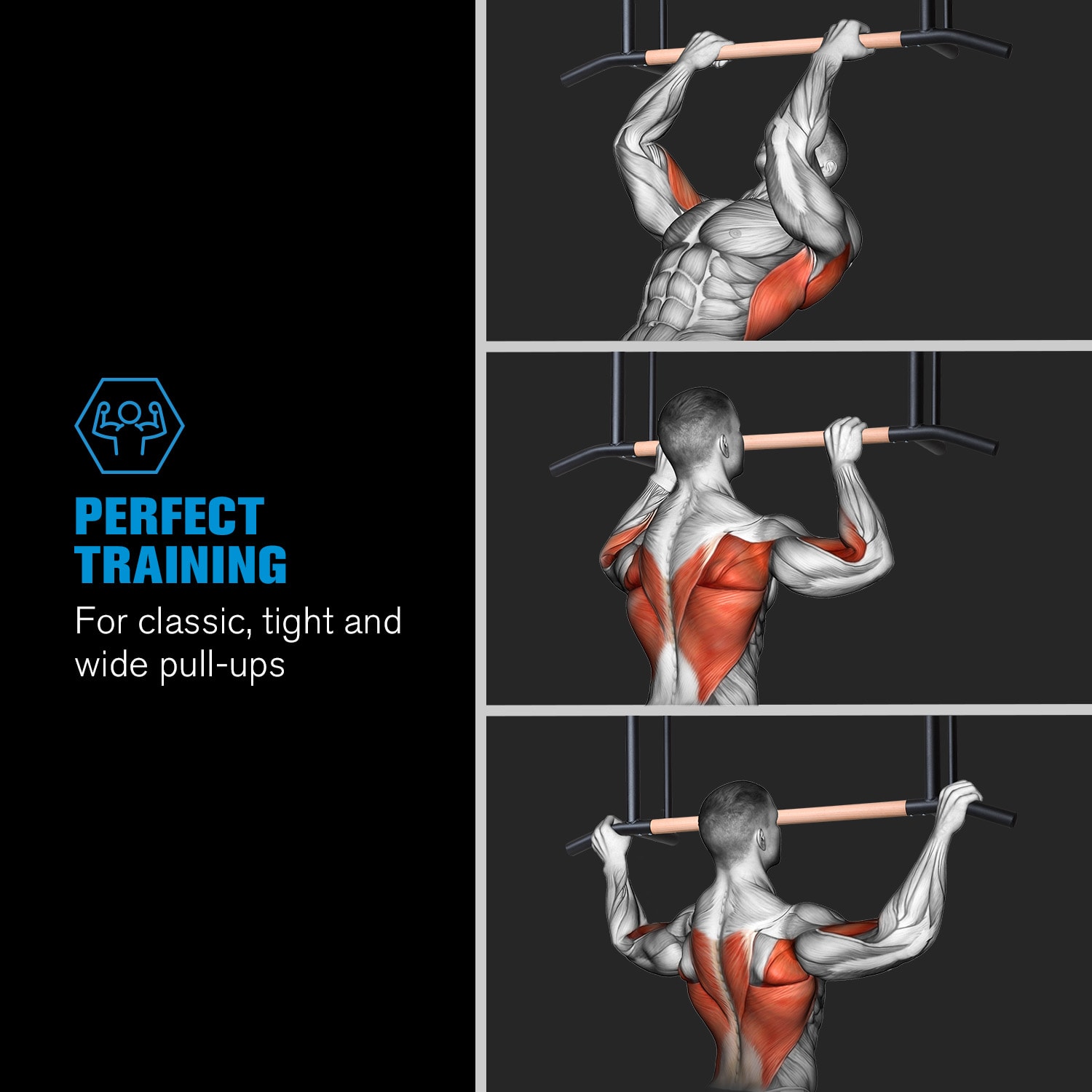 Capital Sports THE ALLROUNDER, hrazda na zhyby, 38 mm. oceľ s práškovou povrchovou úpravou, drevo – Obrázok 3