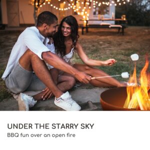 Blumfeldt Savage 2.0, okrúhle ohnisko s grilom, Ø 60 cm, stabilný podstavec, priestor na drevo