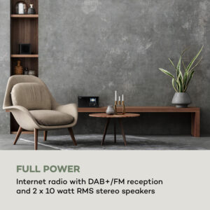 Auna Silver Star Mini Two, internetové DAB+/FM rádio, WiFi, BT, TWS reproduktor