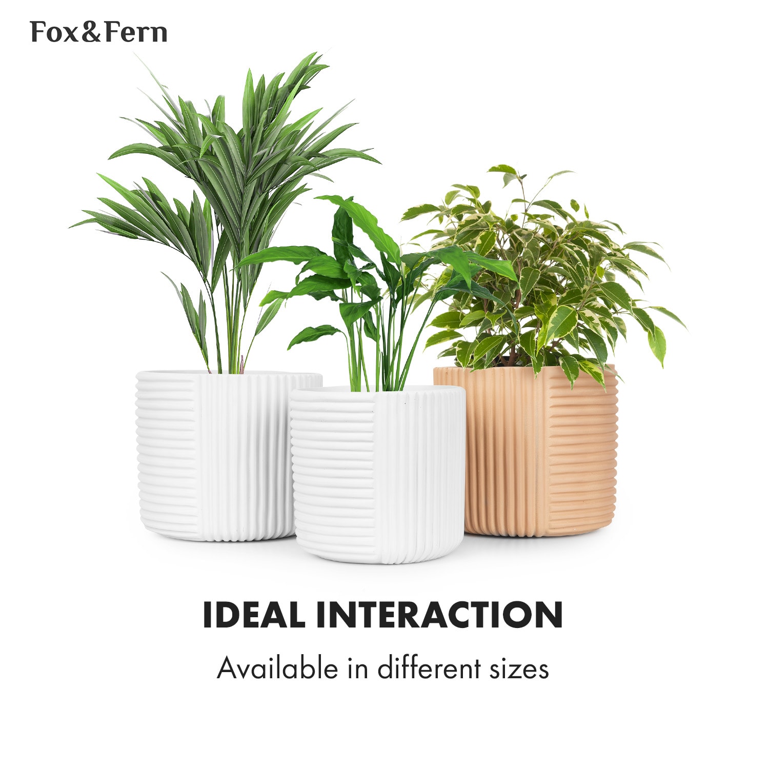 Fox & Fern Hasselt, kvetináč z polystonu, ručne robený – Obrázok 4