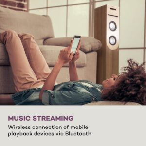 Auna Berklee, stĺpový reproduktor, 2 x 10 W RMS, FM rádio, CD prehrávač, Bluetooth, USB a SD/MMC port