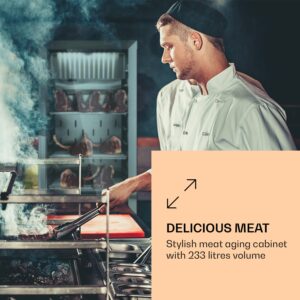 Klarstein Steakhouse Pro 233, chladnička na zrenie mäsa, 1 zóna, 233 l, 1-25°C, dotykový displej, panoramatické okno