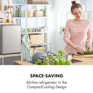 Klarstein Cool Kid, mini chladnička, 66 l, mraziaci priečinok 4 l, 41 dB, energet. trieda F, brúsená nehrdzavejúca oceľ