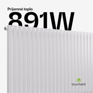 Blumfeldt Delgado radiátor | Moderný dizajn | 63 x 100 cm | 891 W | Stredové pripojenie