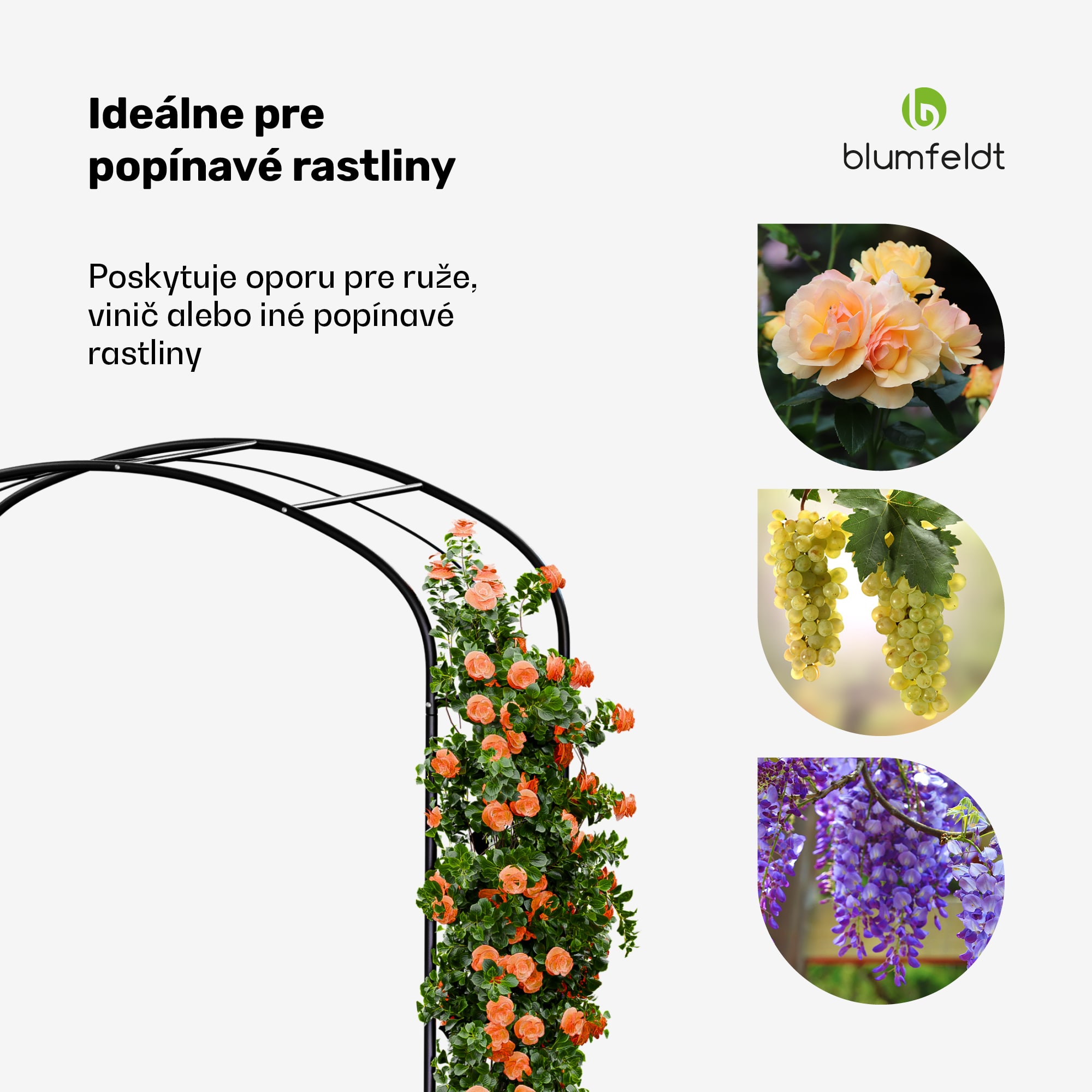 Blumfeldt FloraBelle Curve oblúk, ozdobné vzory listov, odolný voči poveternostným vplyvom, pomôcka na popínanie – Obrázok 4
