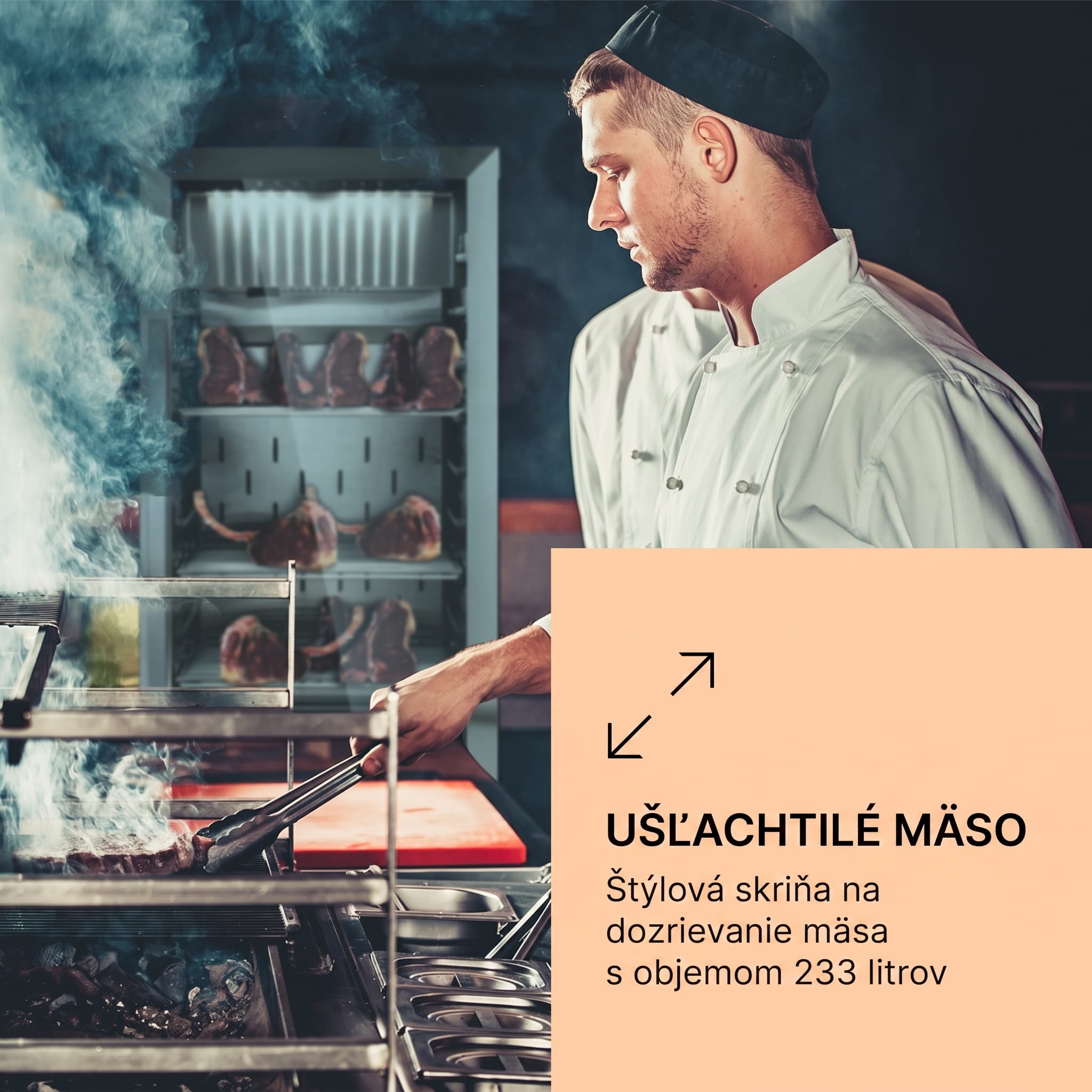 Klarstein Steakhouse Pro 233 skrinka na zrenie mäsa 1 zóna 233 l 1-25°C dotyková Panorama