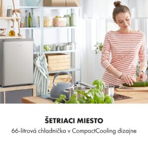 Klarstein Cool Kid, mini chladnička, 66 l, mraziaci priečinok 4 l, 41 dB, energet. trieda F, brúsená nehrdzavejúca oceľ