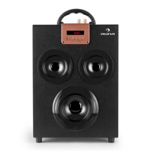 Auna Central Park, 2.1 bluetooth reproduktor, USB, SD, prenosný