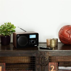 Auna Worldwide internetové rádio, sieťový prehrávač, WLAN/LAN, DAB/DAB+, FM, USB, AUX