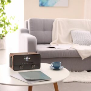 Auna Connect 100, internetové rádio, mediálny prehrávač, bluetooth, WLAN, USB, AUX, linkový výstup