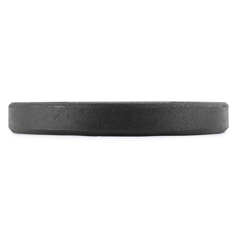 Capital Sports Renit, hi temp gumový kotúč, 50,4 mm, hliníkové jadro, guma, 2 x 10 kg – Obrázok 2