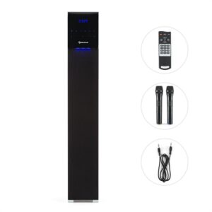 Auna Tallboy CD bluetooth reproduktor, karaoke zariadenie, CD SD USB, čierna farba