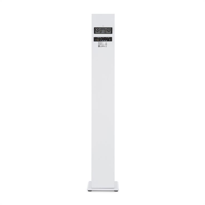 OneConcept Tallboy, biely, karaoke reproduktor, akumulátor, bluetooth, USB, SD, MP3, FM, AUX, 2 x mikrofón – Obrázok 2