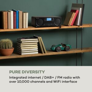 Auna Worldwide CD, internetové rádio, Spotify Connect, ovládanie cez aplikáciu, bluetooth, vlašský orech