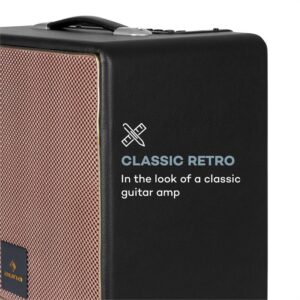 Auna Streetstar Retro 50, PA zariadenie, 10" woofer, 120 W max., mikro USB, TF, BT, AUX, VHF