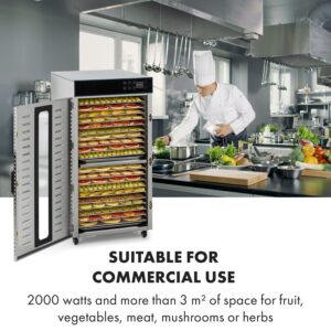 Klarstein Master Jerky 300, sušička potravín, 2000 W, 40 – 90 °C, 24 hod. časovač, nehrdzavejúca oceľ, strieborný